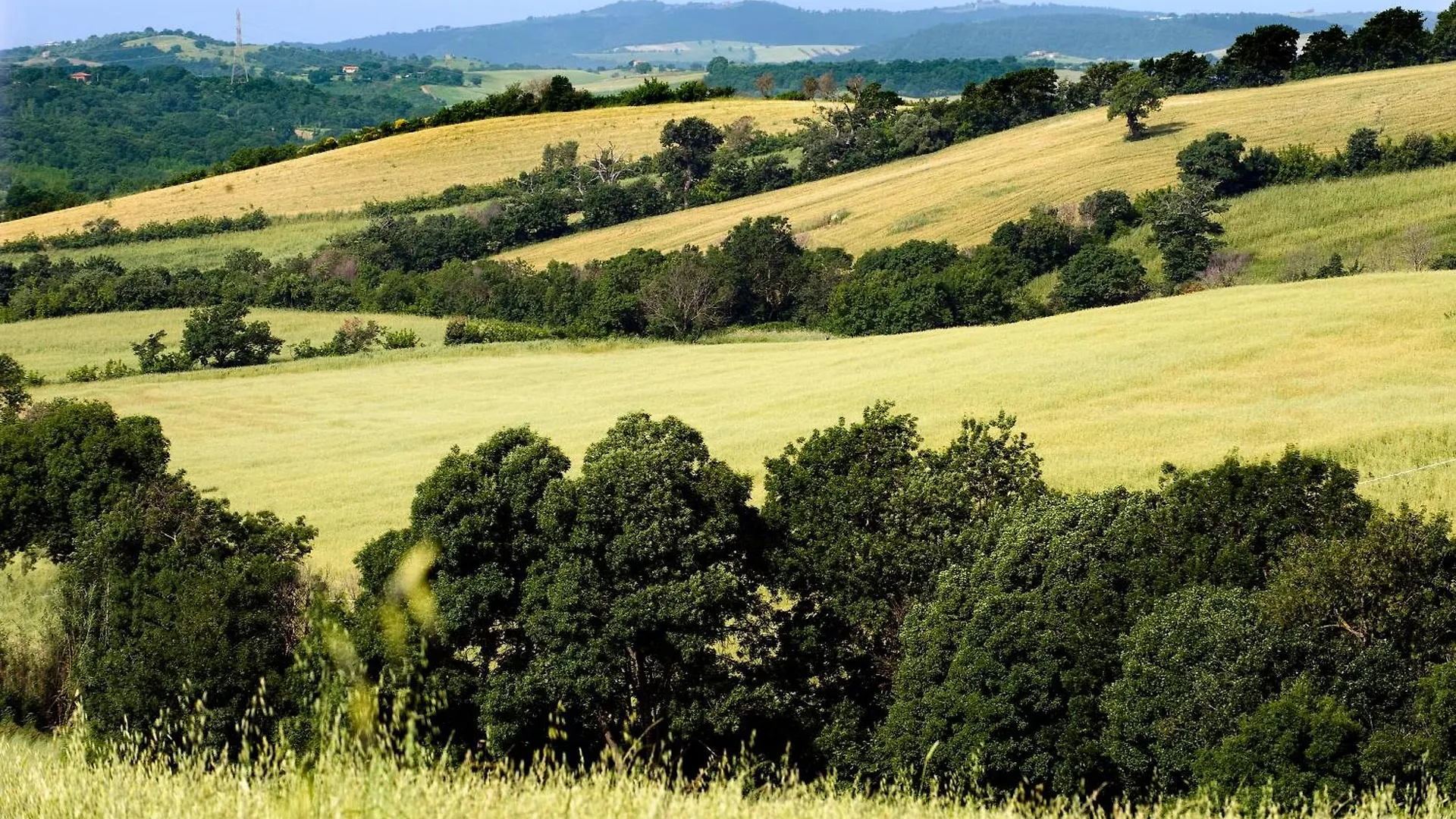 Apartment Saturnia Tuscany Country House Italy